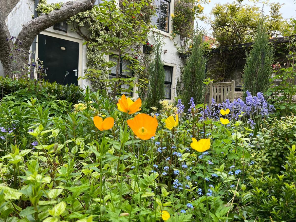 Apple Tree Cottage - Charming Home At Beautiful Canal In Our Idyllic Garden Gouda Exterior photo