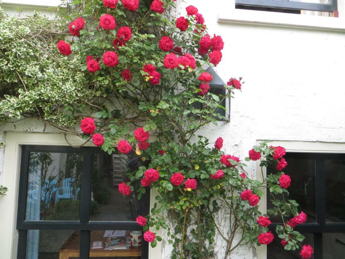 Apple Tree Cottage - Charming Home At Beautiful Canal In Our Idyllic Garden Gouda Exterior photo